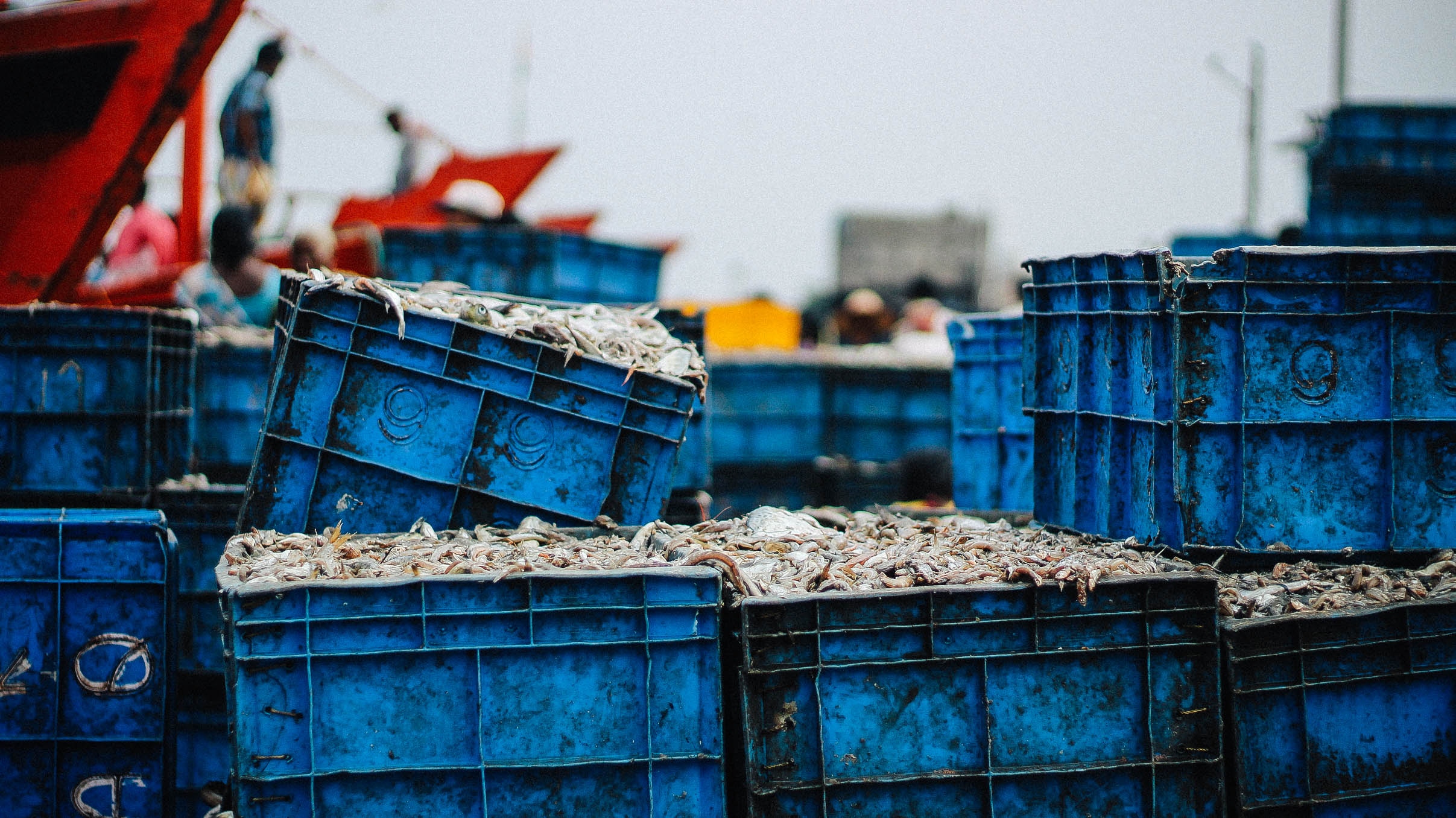 Seafood crates banner