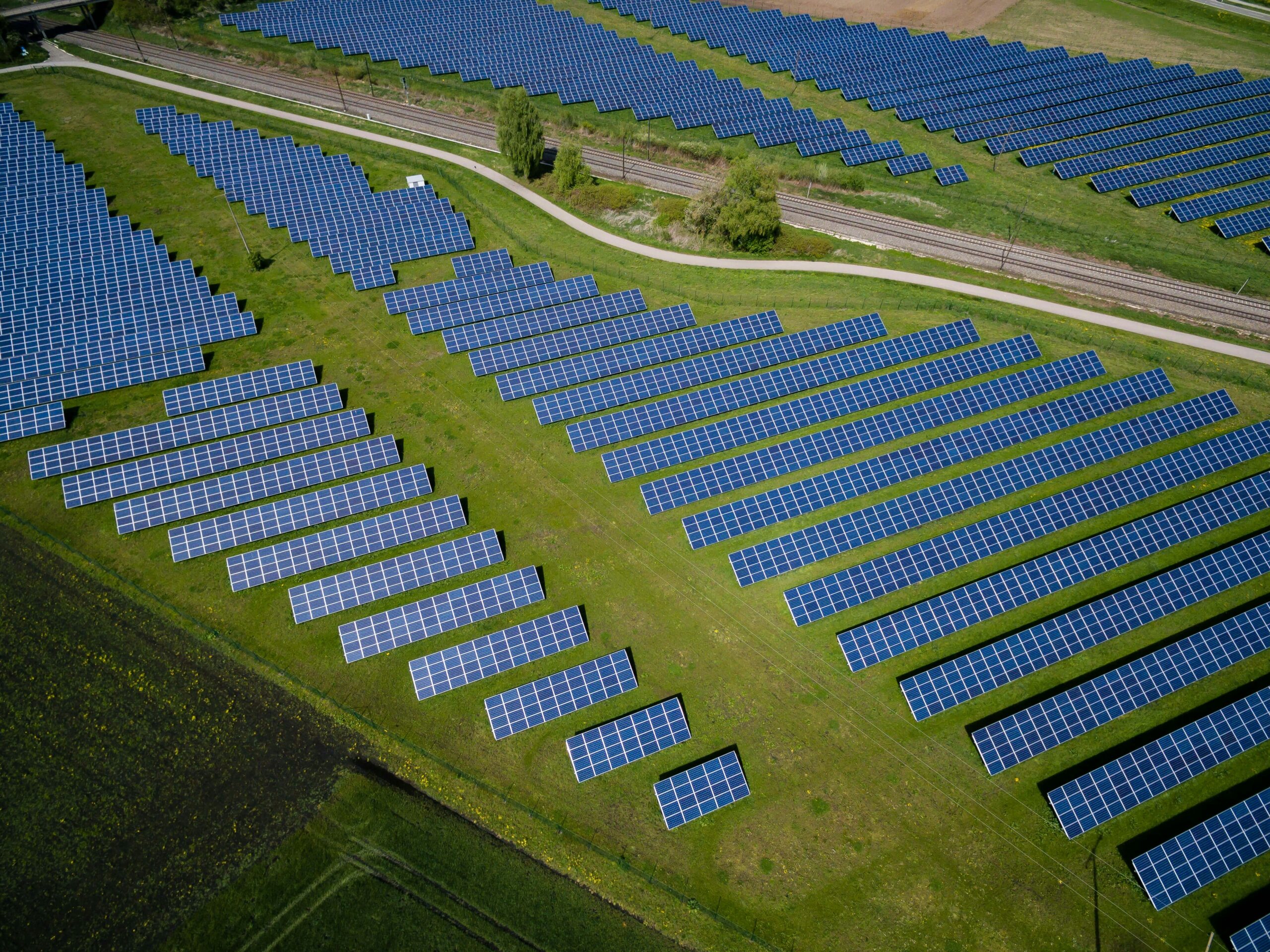 Field with solar panels