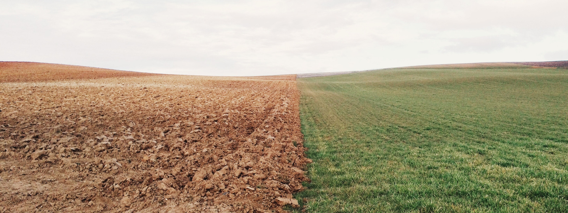 Soil banner